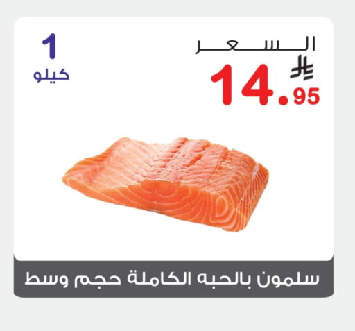 Fresh Fish in Al Rasheed Markets, Saudi Arabia Offers - Saudi Arabia available at Al Rasheed Markets in KSA, Saudi Arabia, Saudi - Riyadh