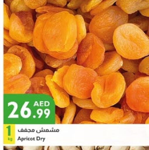 الفواكه المجففة و التمور in إسطنبول سوبرماركت, UAE Offers - الإمارات العربية المتحدة Apricot available at إسطنبول سوبرماركت in الإمارات العربية المتحدة , الامارات - الشارقة / عجمان
