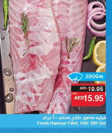 الأسماك الطازجة in سبار هايبرماركت, UAE Offers - الإمارات العربية المتحدة available at سبار هايبرماركت in الإمارات العربية المتحدة , الامارات - الشارقة / عجمان