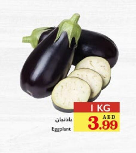 الخضروات الطازجة in تروليز سوبرماركت, UAE Offers - الإمارات العربية المتحدة Eggplant available at تروليز سوبرماركت in الإمارات العربية المتحدة , الامارات - الشارقة / عجمان