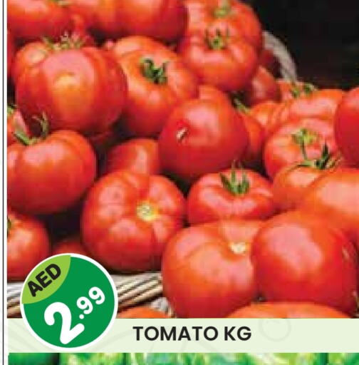 Tomato available at Baniyas Spike  in UAE - Abu Dhabi