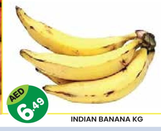 Banana from India available at Baniyas Spike  in UAE - Al Ain