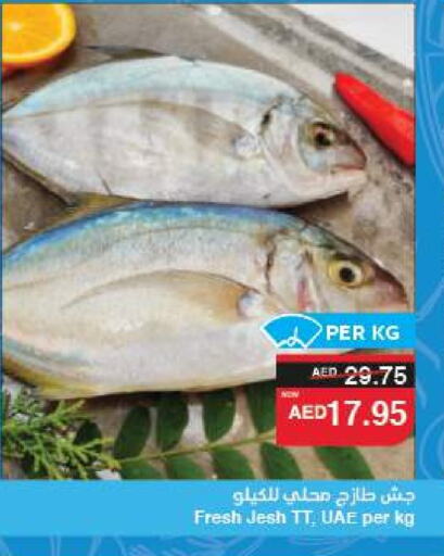الأسماك الطازجة in سبار هايبرماركت, UAE Offers - الإمارات العربية المتحدة available at سبار هايبرماركت in الإمارات العربية المتحدة , الامارات - الشارقة / عجمان