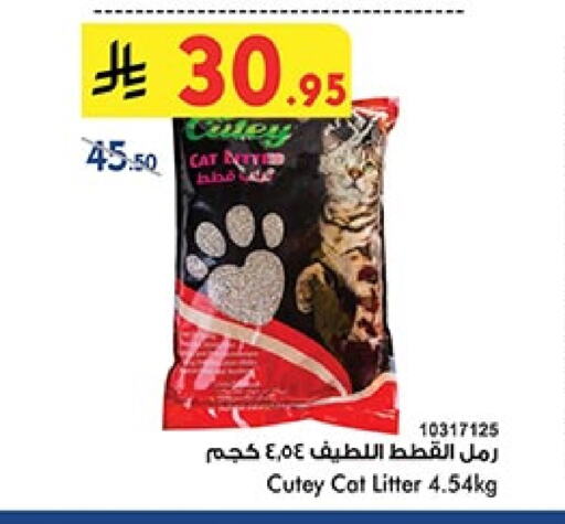 Pets in Bin Dawood, Saudi Arabia Offers - Saudi Arabia available at Bin Dawood in KSA, Saudi Arabia, Saudi - Khamis Mushait