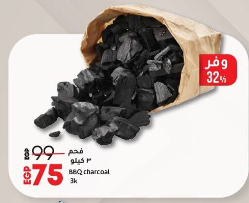 Outdoors & Garden in Lulu Hypermarket , Egypt Offers - Egypt available at Lulu Hypermarket in Egypt - Cairo