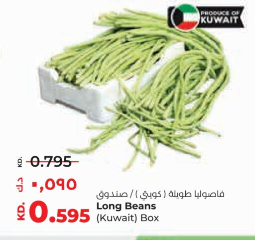 Fresh Vegetables in Lulu Hypermarket , Kuwait Offers - Kuwait Beans from Kuwait available at Lulu Hypermarket in Kuwait - Ahmadi Governorate