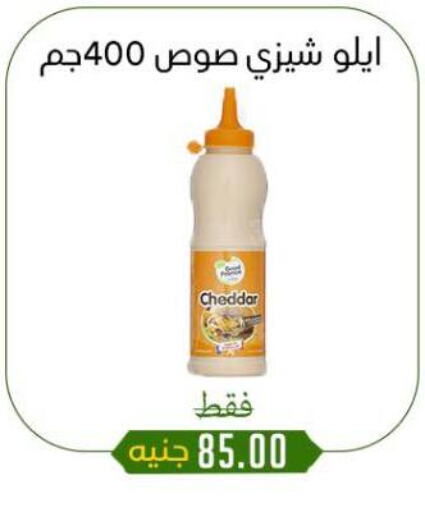 الصلصات والسبريد in خان الحسين, Egypt Offers - Egypt available at خان الحسين in Egypt - القاهرة
