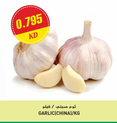 Fresh Vegetables in Grand Hyper, Kuwait Offers - Kuwait Garlic from China available at Grand Hyper in Kuwait - Ahmadi Governorate
