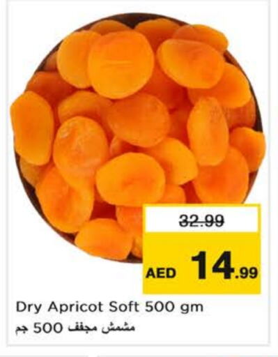 الفواكه المجففة و التمور in نستو هايبرماركت, UAE Offers - الإمارات العربية المتحدة Apricot available at نستو هايبرماركت in الإمارات العربية المتحدة , الامارات - دبي
