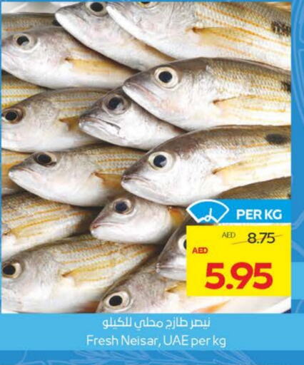Fresh Fish in Megamart Supermarket , UAE Offers - United Arab Emirates available at Megamart Supermarket in UAE - Sharjah / Ajman