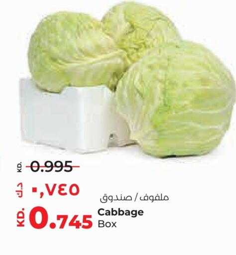 Fresh Vegetables in Lulu Hypermarket , Kuwait Offers - Kuwait Cabbage available at Lulu Hypermarket in Kuwait - Ahmadi Governorate