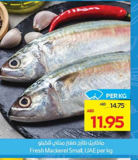 Fresh Fish in ADCOOP, UAE Offers - United Arab Emirates available at ADCOOP in UAE - Ras al Khaimah
