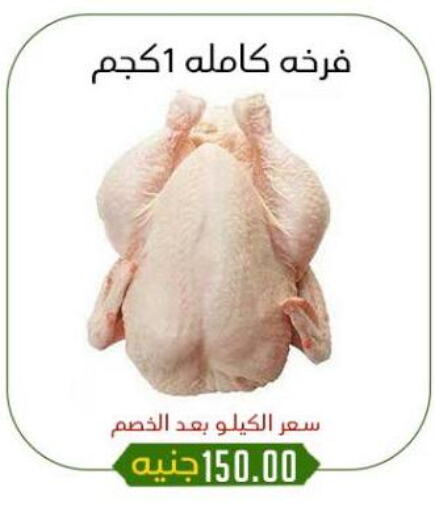 دجاج in خان الحسين, Egypt Offers - Egypt available at خان الحسين in Egypt - القاهرة