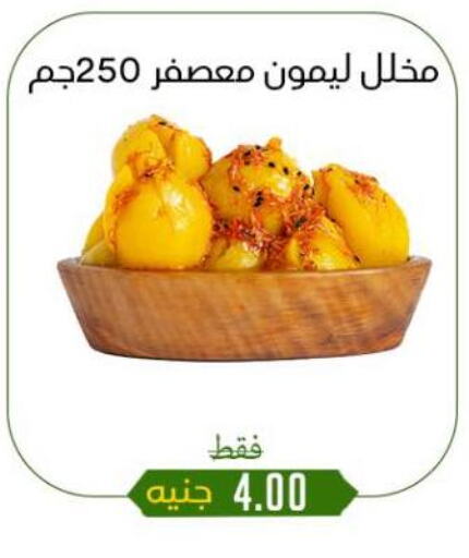 أغذية معلبة ومغلفة in خان الحسين, Egypt Offers - Egypt available at خان الحسين in Egypt - القاهرة