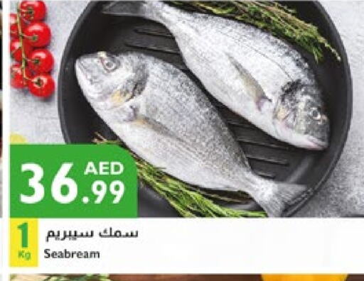 available at Istanbul Supermarket in UAE - Abu Dhabi