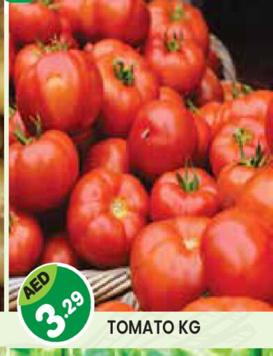 Tomato available at Baniyas Spike  in UAE - Abu Dhabi