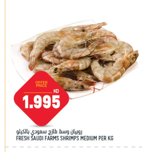 available at Oncost in Kuwait - Ahmadi Governorate