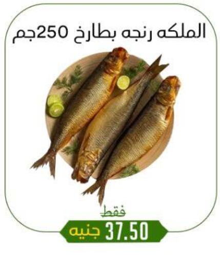 مقبلات و لحوم باردة in خان الحسين, Egypt Offers - Egypt available at خان الحسين in Egypt - القاهرة