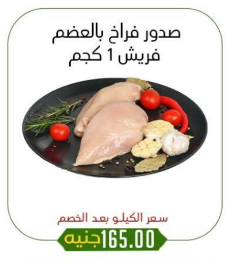 دجاج in خان الحسين, Egypt Offers - Egypt صدور دجاج available at خان الحسين in Egypt - القاهرة