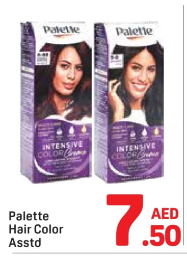 PALETTE Hair Colour available at Day to Day Department Store in UAE - Dubai
