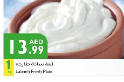 Yogurt & Labneh in Istanbul Supermarket, UAE Offers - United Arab Emirates Labneh available at Istanbul Supermarket in UAE - Sharjah / Ajman