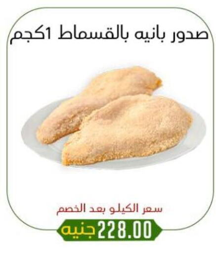 دجاج in خان الحسين, Egypt Offers - Egypt صدور دجاج available at خان الحسين in Egypt - القاهرة
