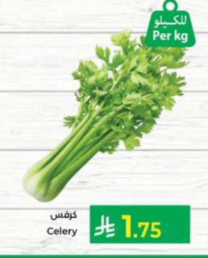 Celery available at Kabayan Hypermarket in KSA, Saudi Arabia, Saudi - Jeddah
