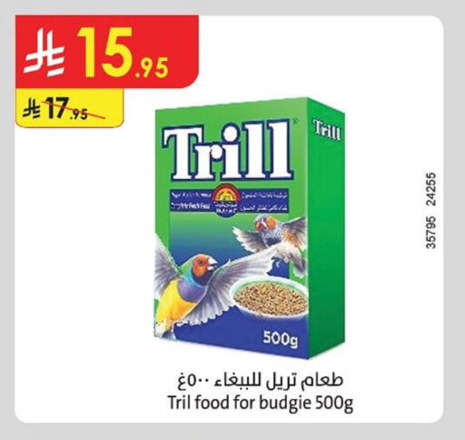 الحيوانات الأليفة in الدانوب, المملكة العربية السعودية Offers - المملكة العربية السعودية available at الدانوب in مملكة العربية السعودية, السعودية, سعودية - تبوك