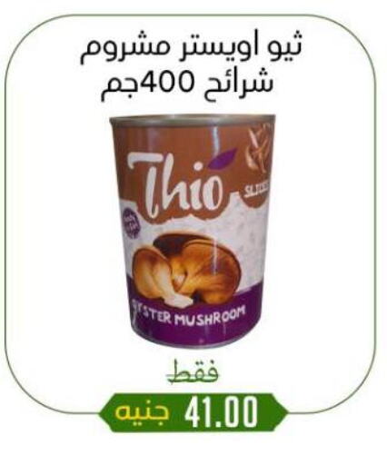 أغذية معلبة ومغلفة in خان الحسين, Egypt Offers - Egypt Mushroom available at خان الحسين in Egypt - القاهرة