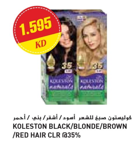 available at جراند كوستو in الكويت - محافظة الأحمدي