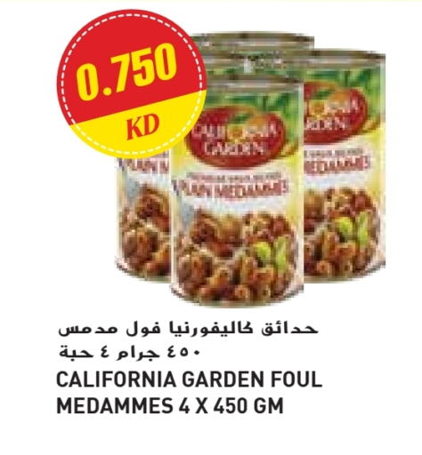 كاليفورنيا جاردن available at جراند كوستو in الكويت - محافظة الأحمدي