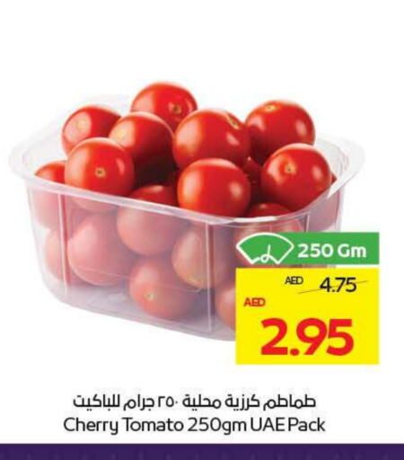 Tomato available at ADCOOP in UAE - Abu Dhabi