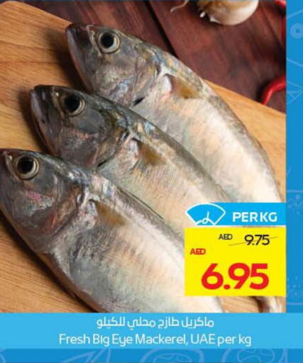 available at ADCOOP in UAE - Abu Dhabi
