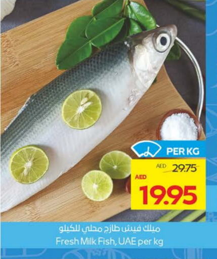 الأسماك الطازجة in ميغا مارت سوبر ماركت, UAE Offers - الإمارات العربية المتحدة available at ميغا مارت سوبر ماركت in الإمارات العربية المتحدة , الامارات - الشارقة / عجمان