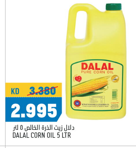 DALAL Corn Oil available at Oncost in Kuwait - Kuwait City