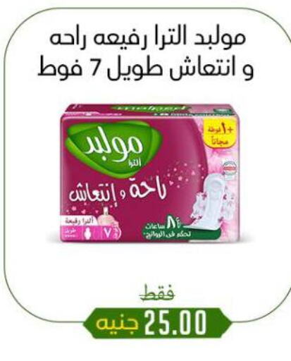 النظافة الشخصية النسائية in خان الحسين, Egypt Offers - Egypt available at خان الحسين in Egypt - القاهرة