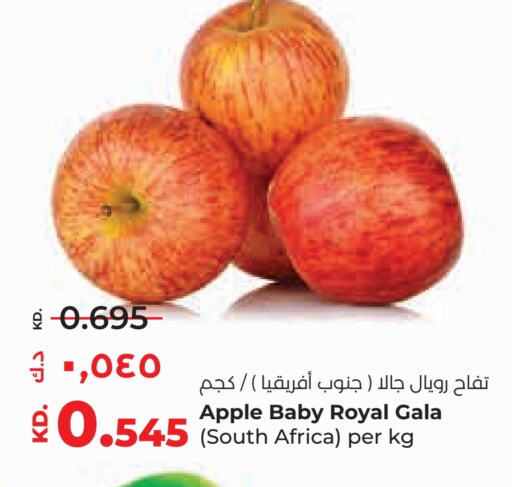 Apples from South Africa available at Lulu Hypermarket  in Kuwait - Kuwait City