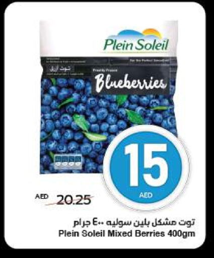 Frozen Fruits & Veg in SPAR Hyper Market , UAE Offers - United Arab Emirates available at SPAR Hyper Market in UAE - Abu Dhabi