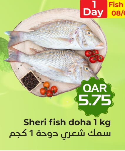 available at Rambo Mart in Qatar - Al-Shahaniya