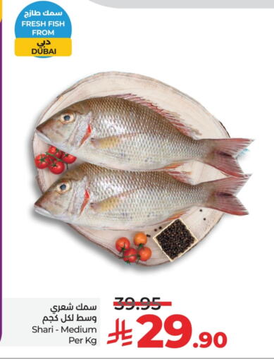 الأسماك الطازجة in لولو هايبرماركت, المملكة العربية السعودية Offers - المملكة العربية السعودية available at لولو هايبرماركت in مملكة العربية السعودية, السعودية, سعودية - حفر الباطن