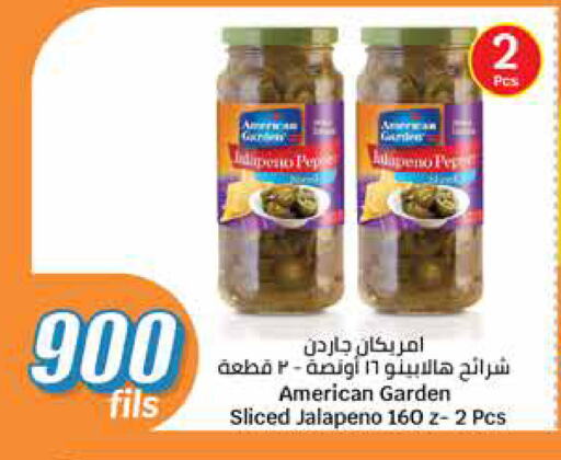AMERICAN GARDEN available at City Hypermarket in Kuwait - Jahra Governorate