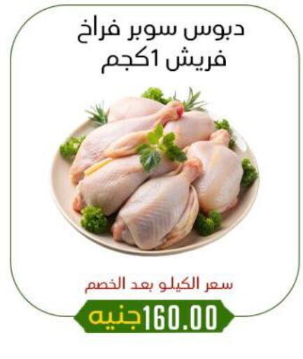 دجاج in خان الحسين, Egypt Offers - Egypt available at خان الحسين in Egypt - القاهرة