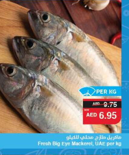 الأسماك الطازجة in سبار هايبرماركت, UAE Offers - الإمارات العربية المتحدة available at سبار هايبرماركت in الإمارات العربية المتحدة , الامارات - الشارقة / عجمان