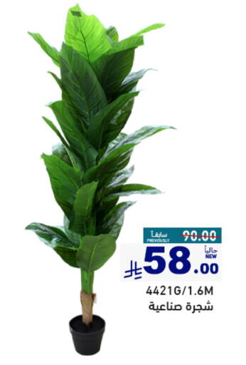 Home Furnishing & Decor in Aswaq Ramez, Saudi Arabia Offers - Saudi Arabia available at Aswaq Ramez in KSA, Saudi Arabia, Saudi - Al Hasa