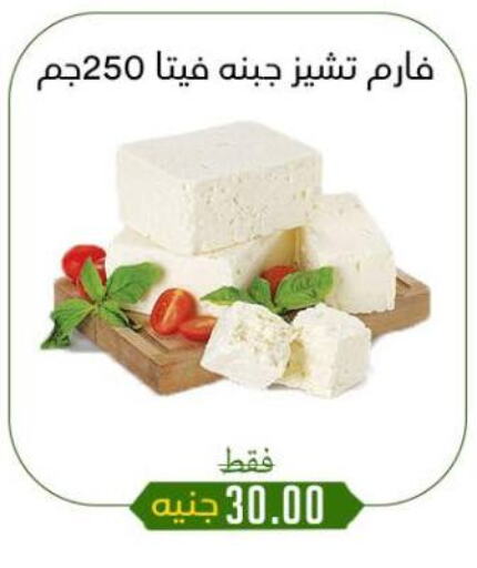 جبنة و كريم in خان الحسين, Egypt Offers - Egypt فيتا available at خان الحسين in Egypt - القاهرة