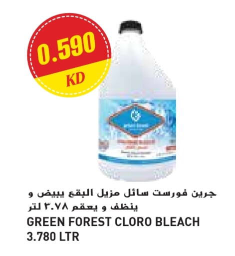 Bleach available at Grand Costo in Kuwait - Kuwait City