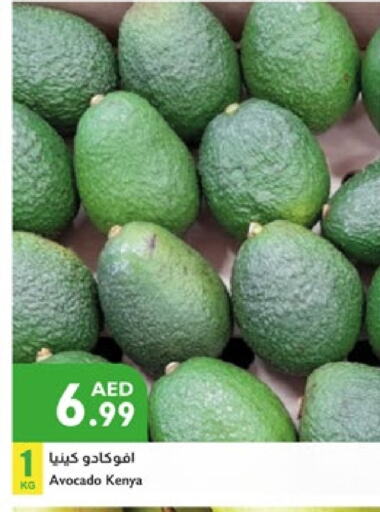 Avacado from Kenya available at Istanbul Supermarket in UAE - Al Ain