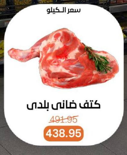 اللحوم الطازجة والمبردة in بيت الجملة, Egypt Offers - Egypt available at بيت الجملة in Egypt - القاهرة