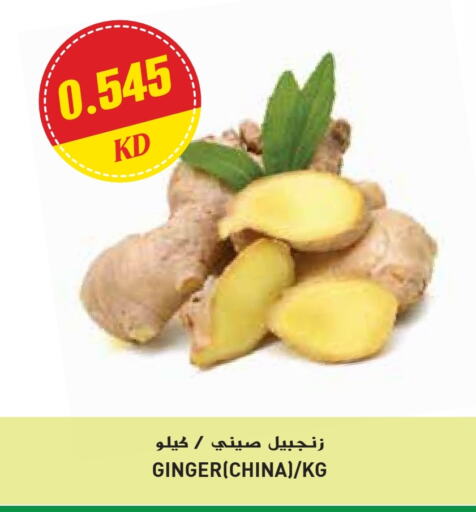 Fresh Vegetables in Grand Hyper, Kuwait Offers - Kuwait Ginger from China available at Grand Hyper in Kuwait - Ahmadi Governorate