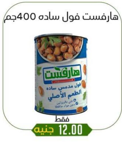 أغذية معلبة ومغلفة in خان الحسين, Egypt Offers - Egypt available at خان الحسين in Egypt - القاهرة